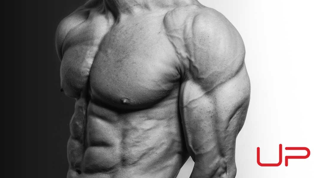How to Build Huge Shoulders Like UP FITNESS Trainer Nick