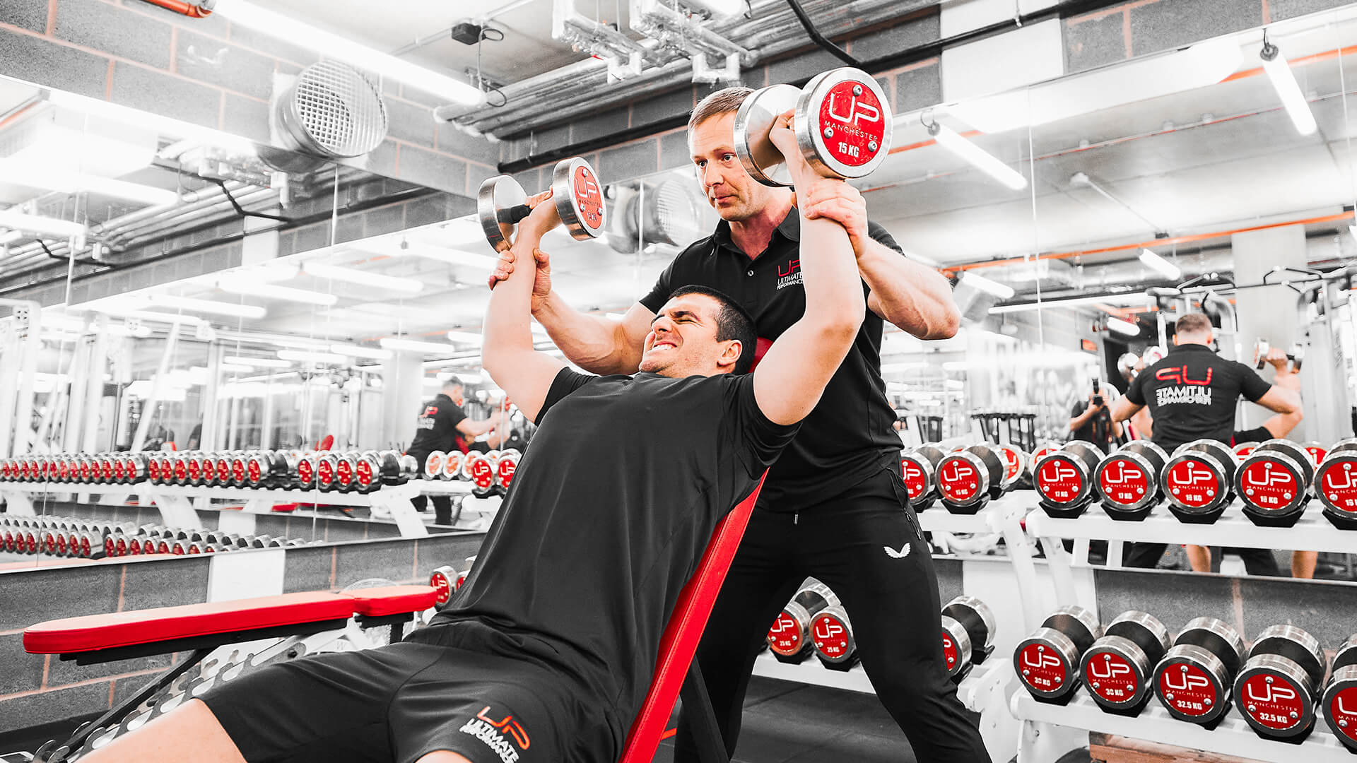 Diet vs. Exercise: The Truth About UP FITNESS's Body Transformations