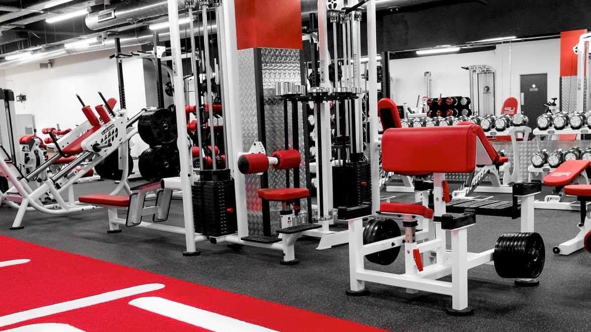 How personal trainers develop world-class careers off the gym floor: Inside UP FITNESS