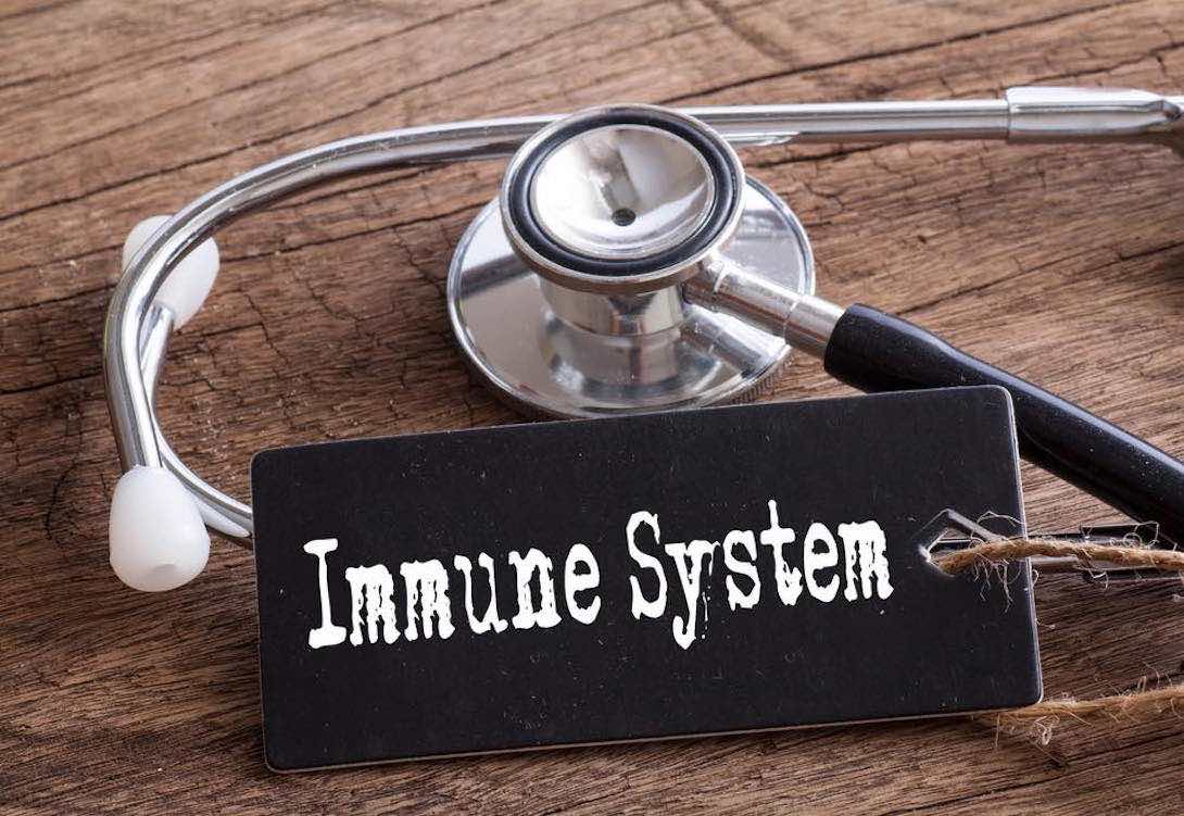Swine Flu & Maintaining a Healthy Immune System