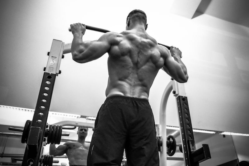 A Guide to Building the Ultimate Back